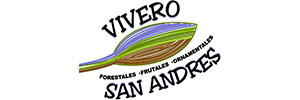 VIVERO SAN ANDRES VIVERO SAN ANDRES